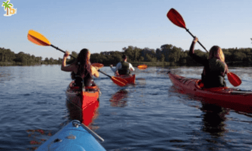 https://boomgoa.com/tour/kayaking-in-goa